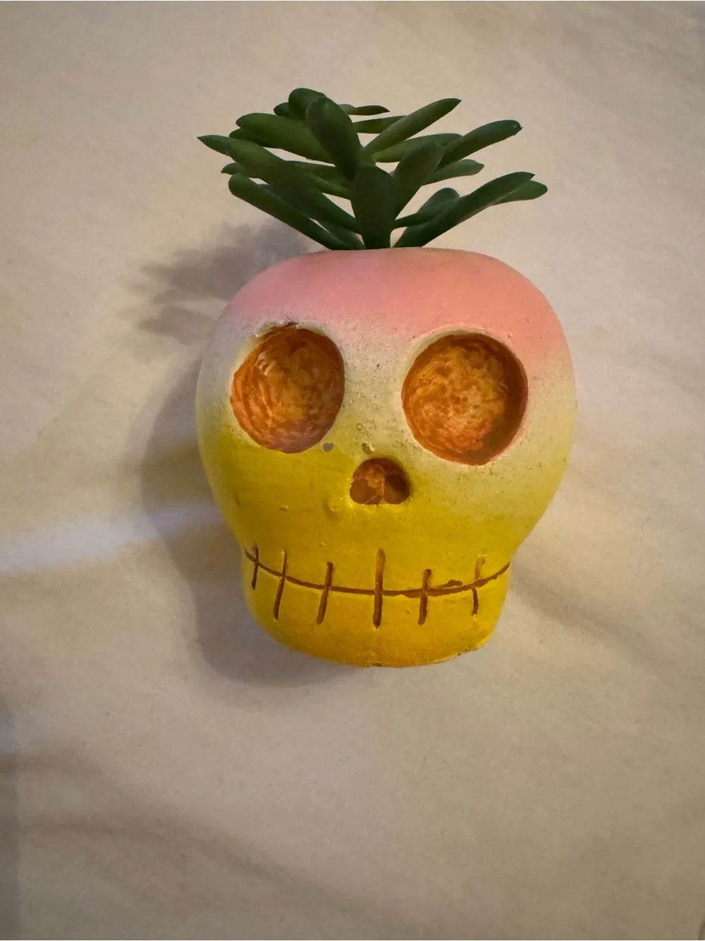 N/A charming skull